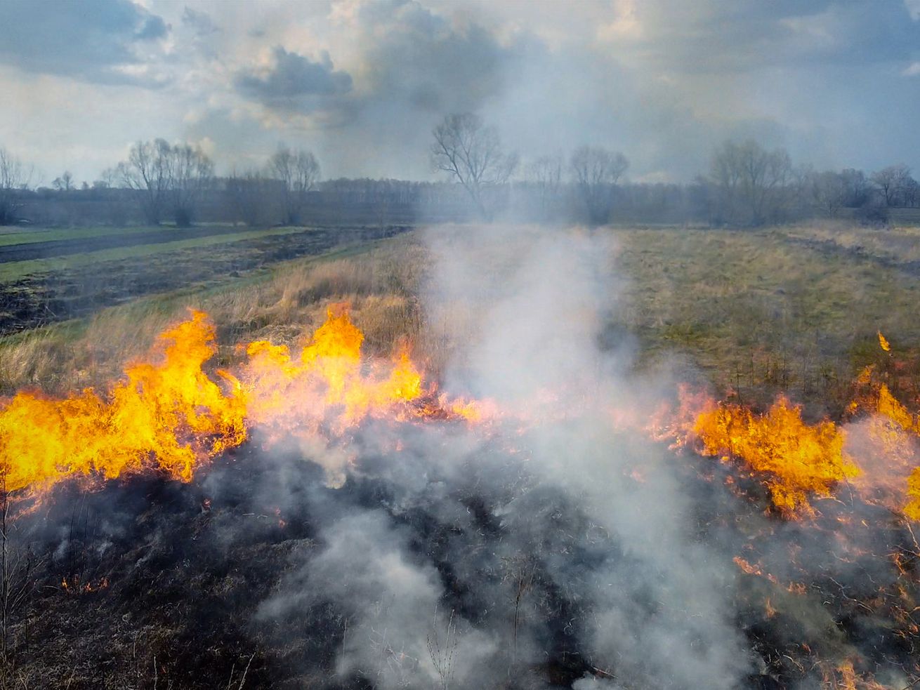 How decades of stopping forest fires made them worse