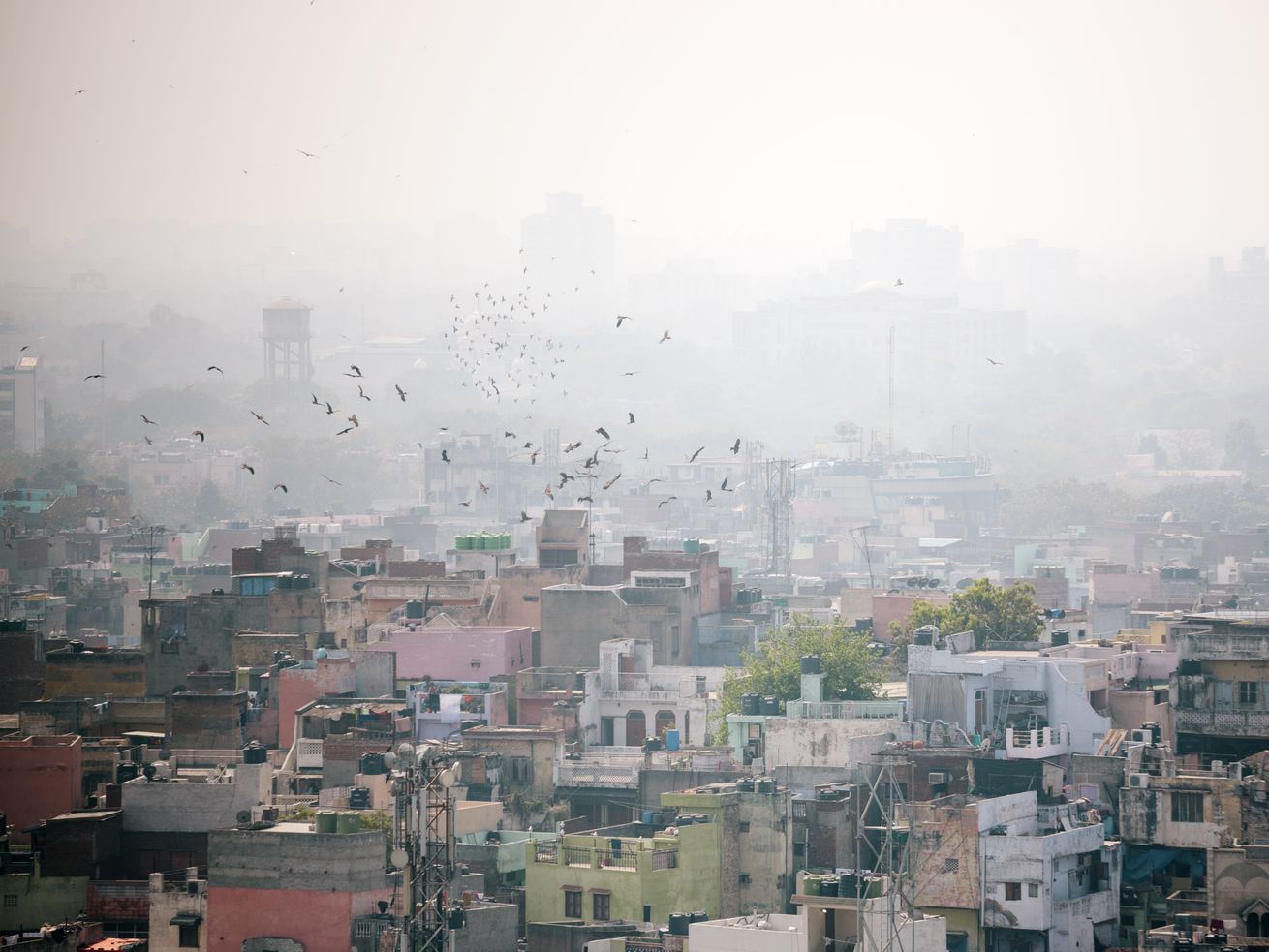 How to clear the air in the most polluted cities on Earth