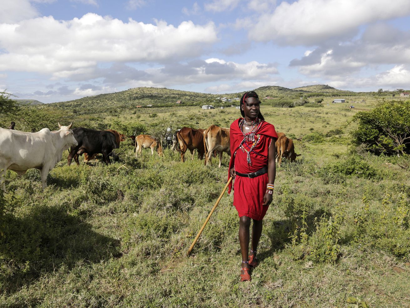 Growing up Maasai and the art of healing the Earth