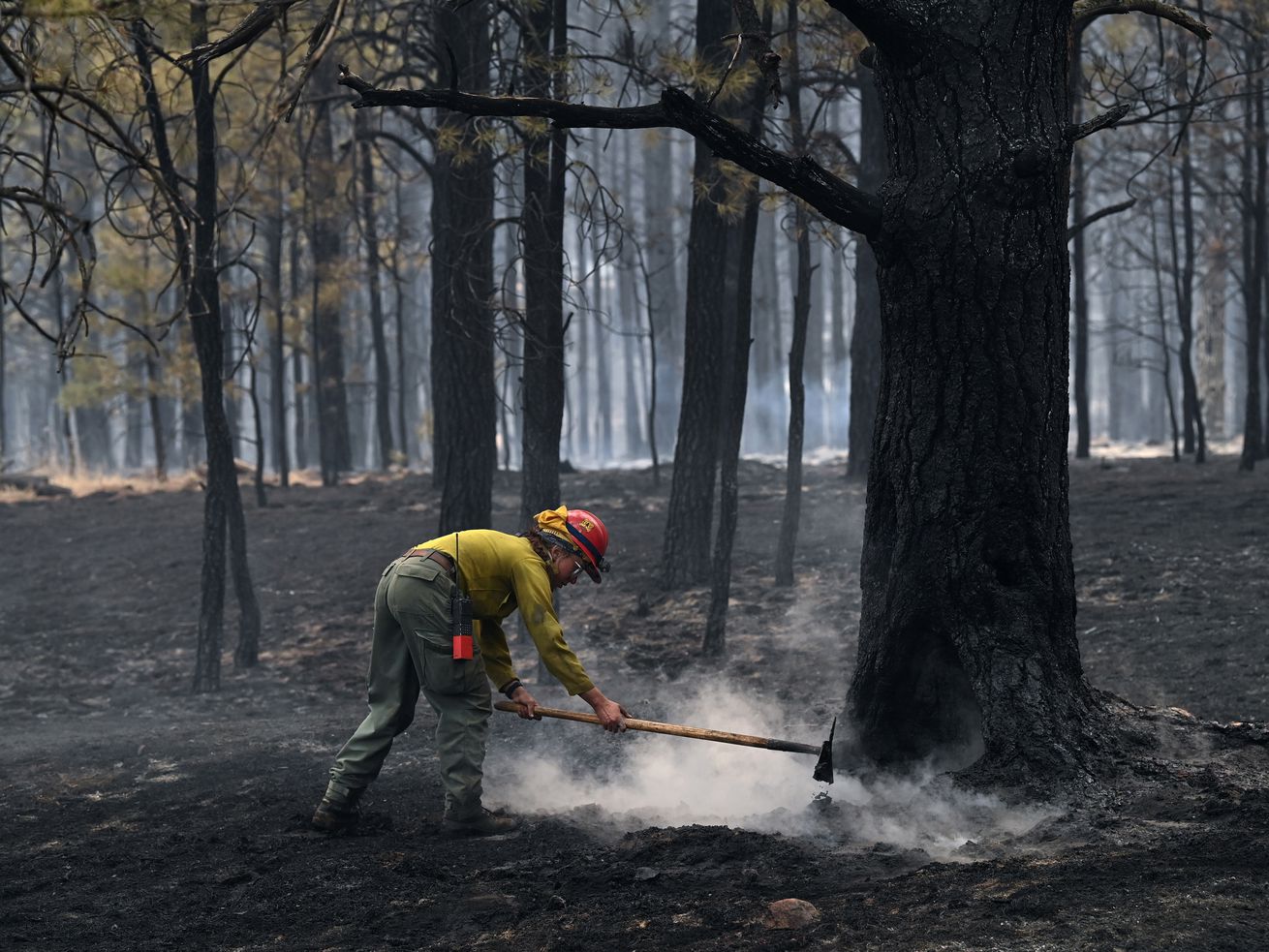 The federal government started New Mexico’s largest wildfire. It had good intentions.