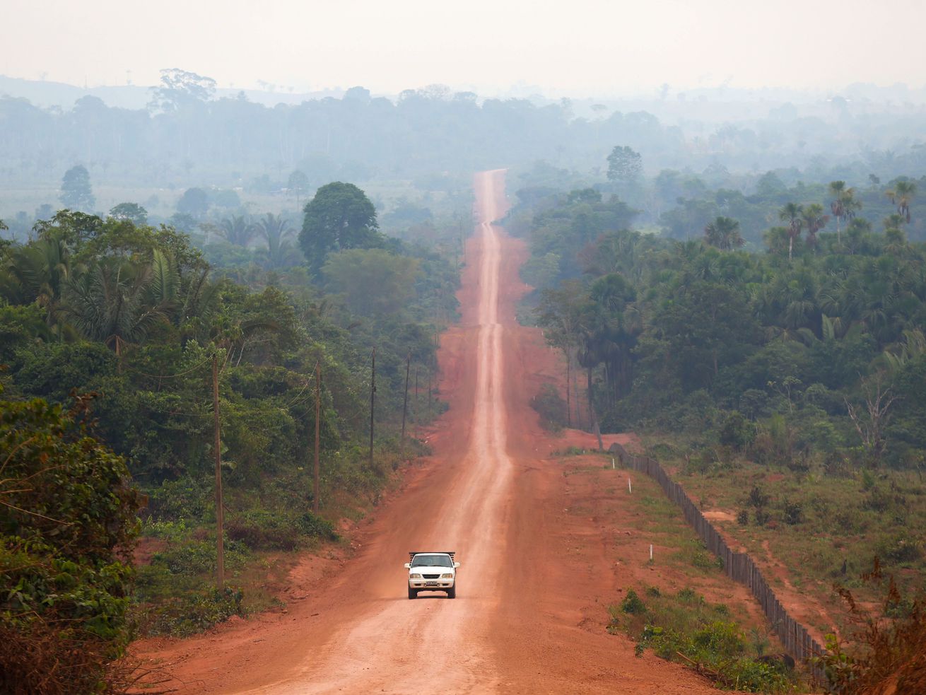 The fate of the Amazon rainforest is in the hands of Brazilian voters