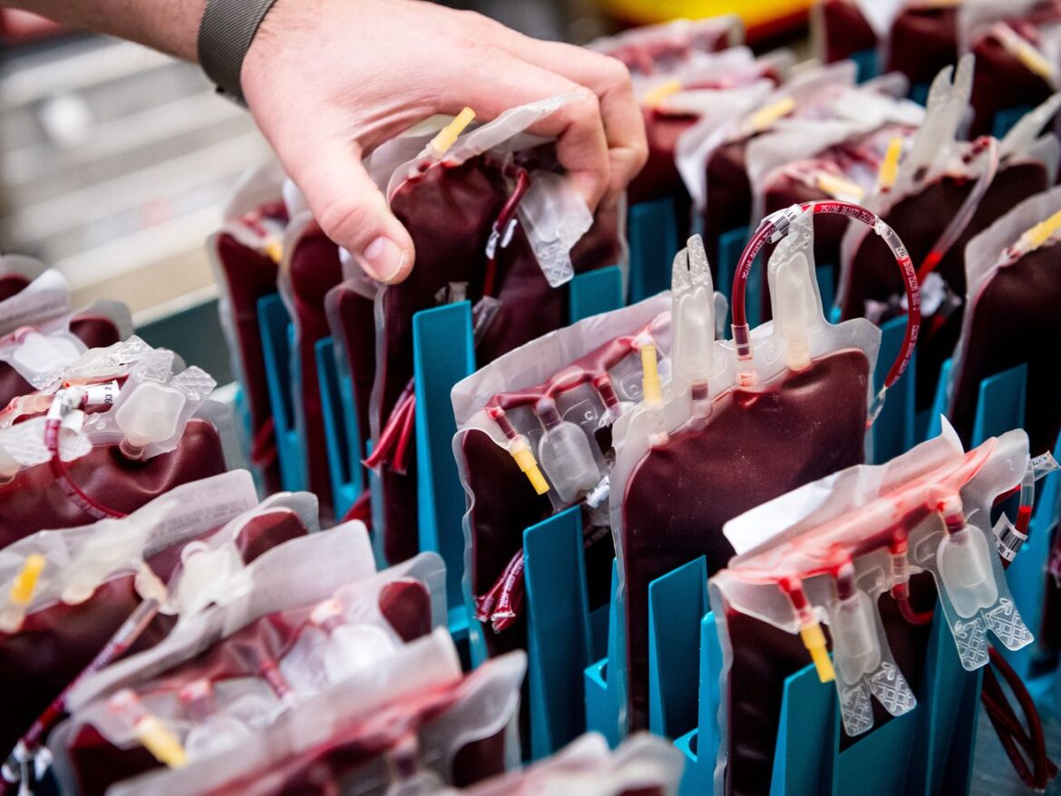 Lab-grown blood could (one day, maybe) save your life