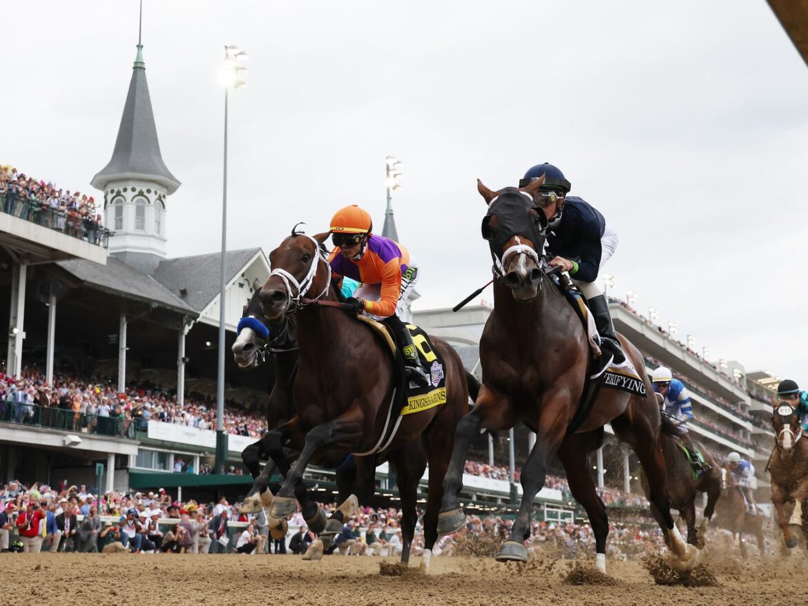 At the Kentucky Derby, horses are worked to death for human vanity