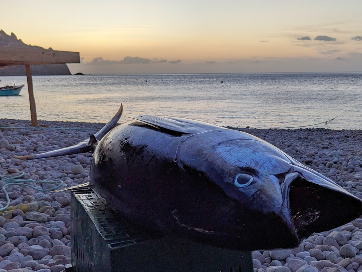 How a tiny island is adapting to climate change … on its dinner plates