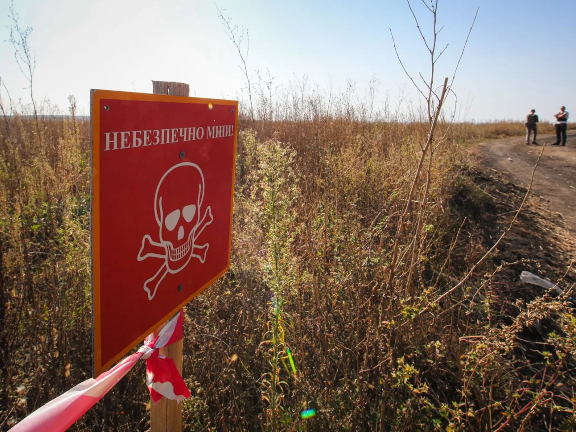 There are now more land mines in Ukraine than almost anywhere else on the planet