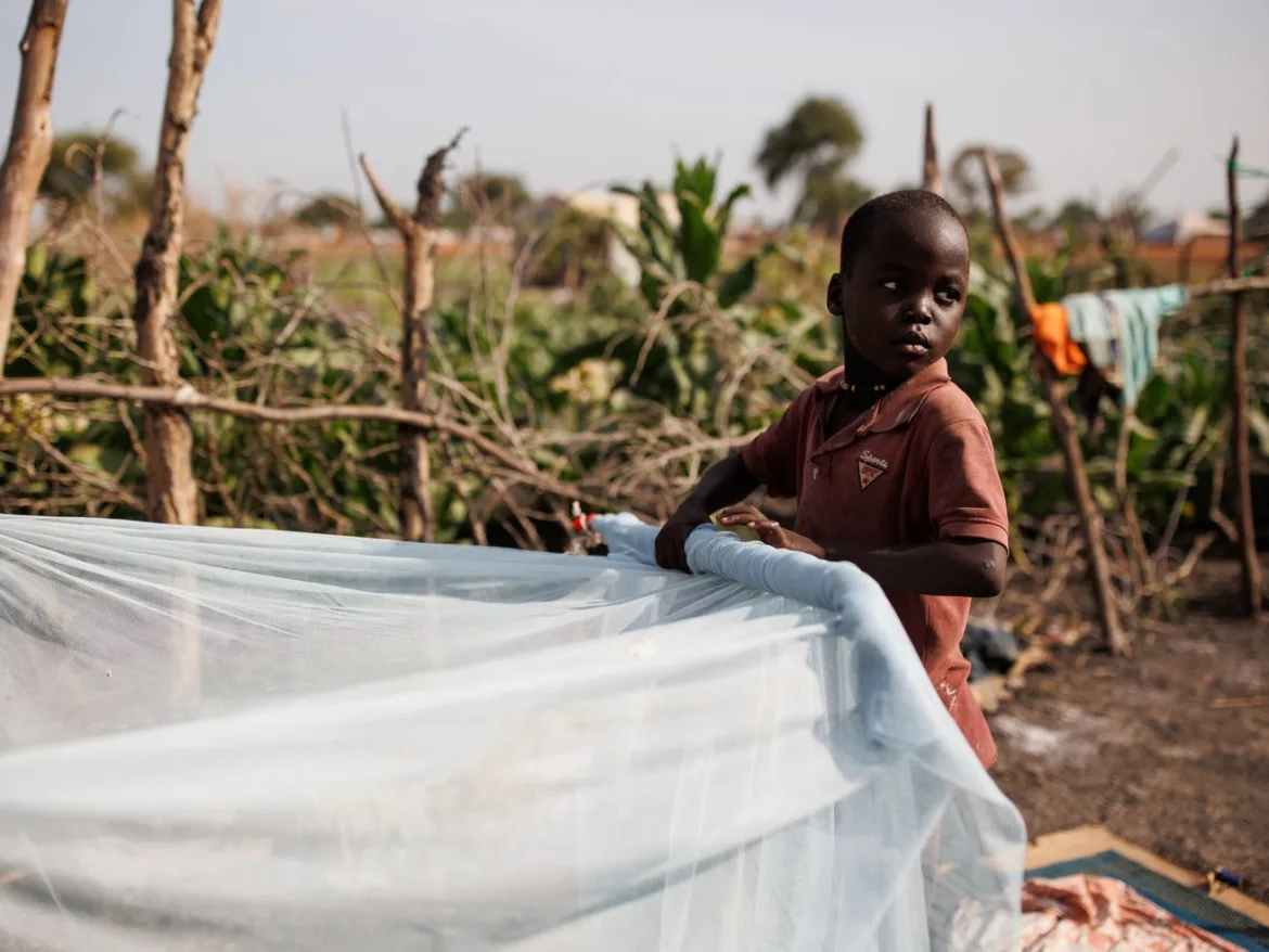 Why would anyone be against life-saving malaria bednets?