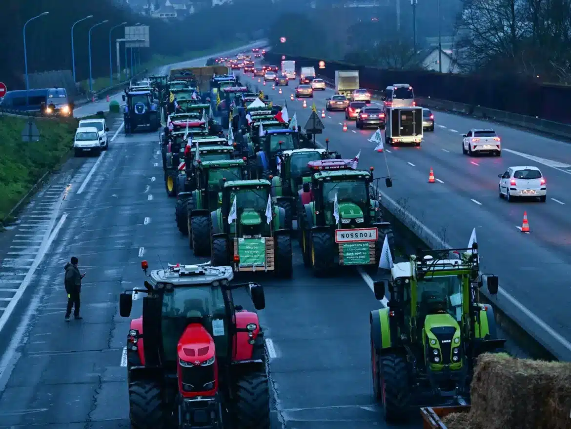 The French farmers’ protests are more complex than they seem