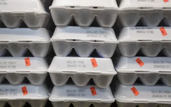 Why we keep seeing egg prices spike, Huntsville News