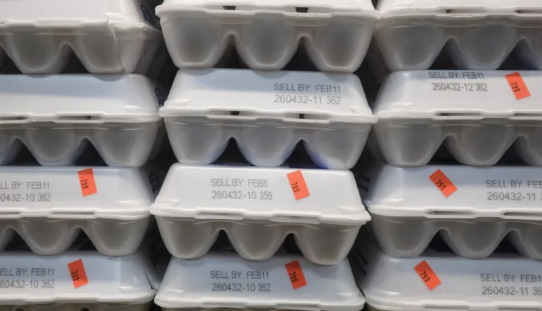 Why we keep seeing egg prices spike, Huntsville News