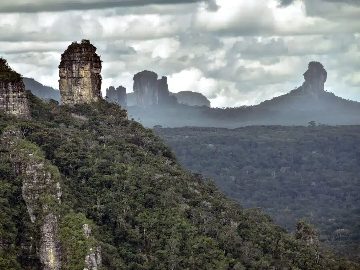 Are rainforests doomed? Not necessarily.